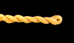 3015 Tangerine Solid Color Impressions