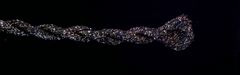 31 Gilded Black Snow