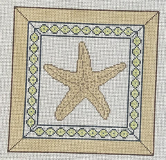 PIL257 Starfish