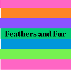 Feathers and Fur Recorded Class