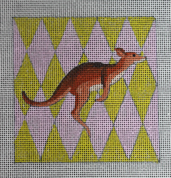 IN221 Kangaroo