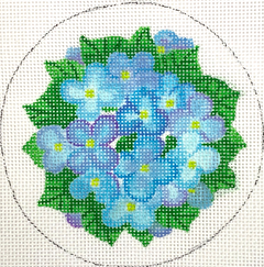 INSMC-40 Hydrangeas