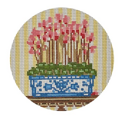 TSG45-B Cyclamen