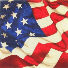 P24 Old Glory (Large)
