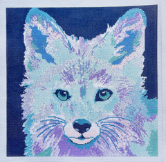 TA4141 Fox on Blue