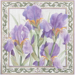 TTAP381 Irises