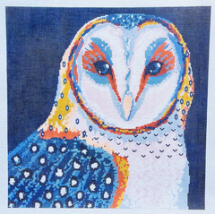 TA4136 Barn Owl
