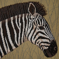 JP-A107 Zebra in Grasses