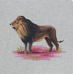 AN491 Lion
