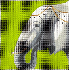 IN270 Elephant