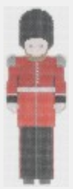 PT-391 Iriish Guard