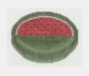 PT-0702 Watermelon