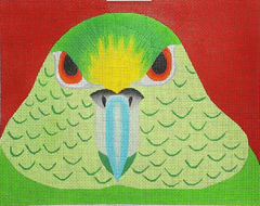 ZE598 Parakeet