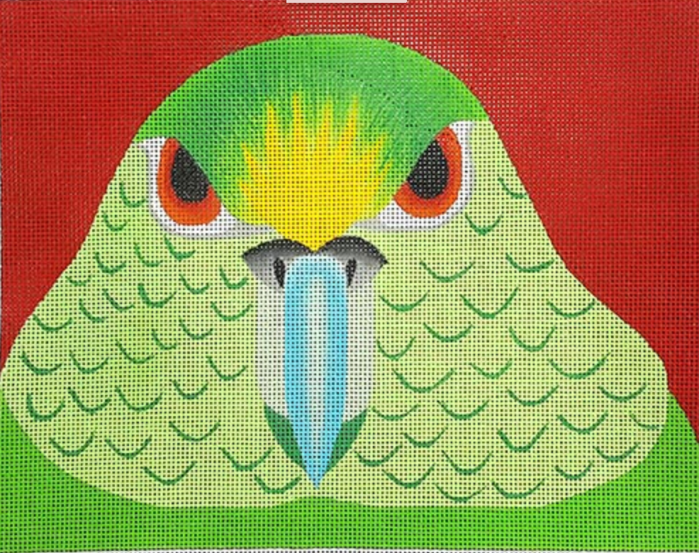 ZE598 Parakeet