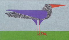 ZE897 Long Beak