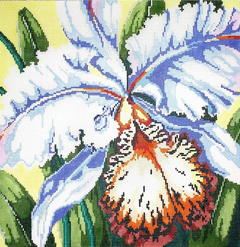 KDS-PL34 Orchid