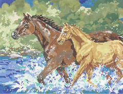 KDS-PL43 Morning Gallop