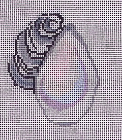 TSS-002 Oyster with Pearl
