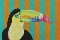 AN120 Toucan on Stripes