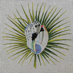 MC489 Seashell on Palm