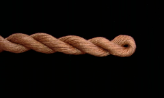 1142 Golden Brown Solid Color Impressions