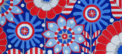 25025 Planted Pinwheels RWB Lumbar Pillow