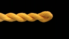 3017 Tangerine Solid Color Impressions