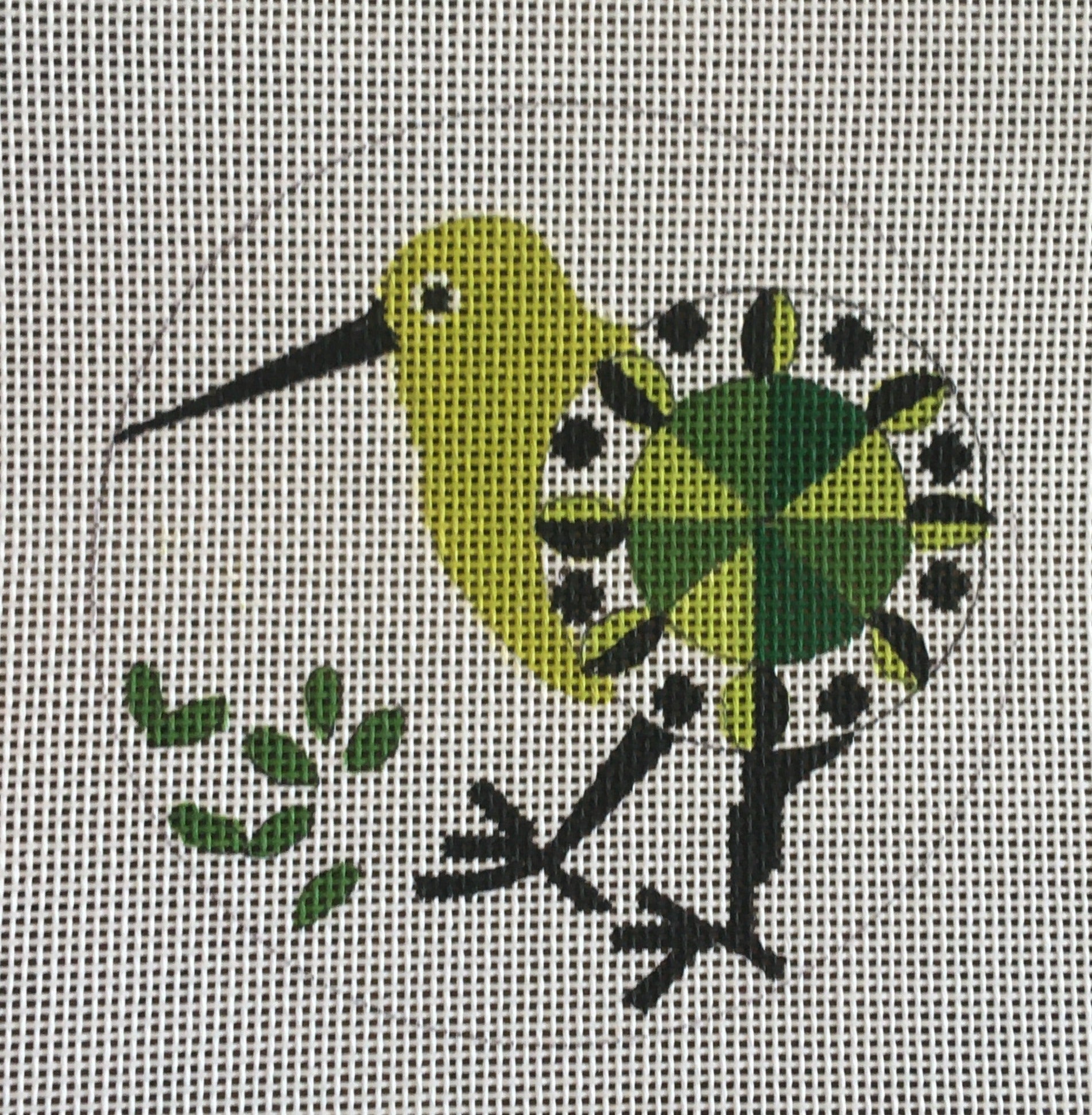 H296 Abstract Kiwi
