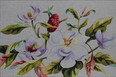 FF322 White Magnolias