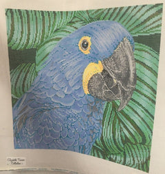 C-451B Blue Parrot