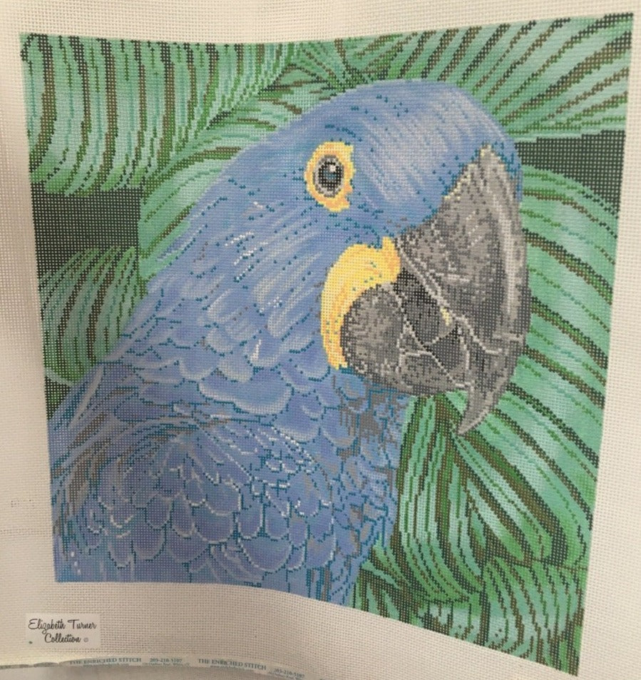 C-451B Blue Parrot