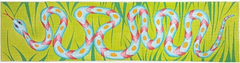 ZE595 Long Snake in the Grass