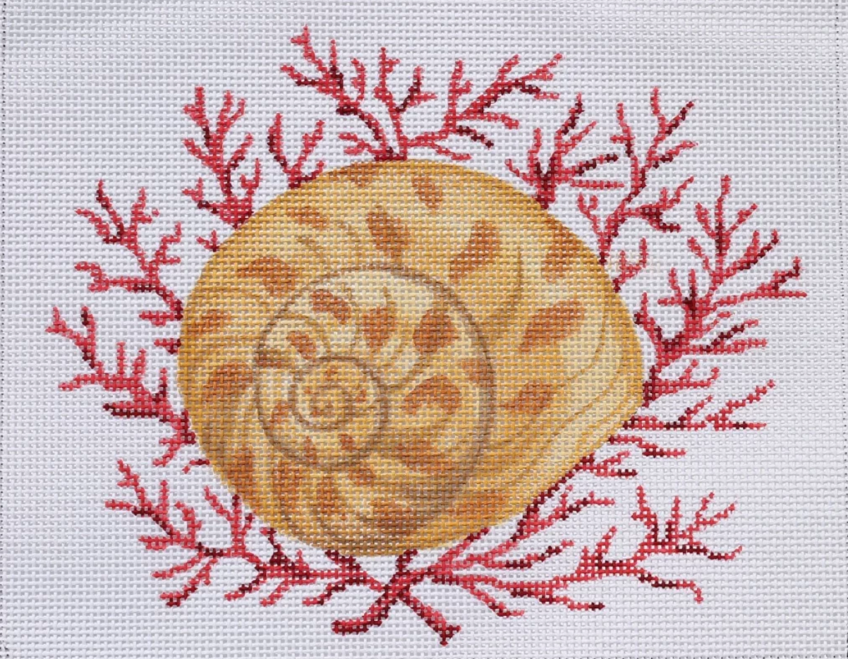 PL-280 Moon Snail Shell with Coral