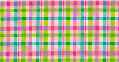 INSPCL-39 Madras Plaid Clutch Insert