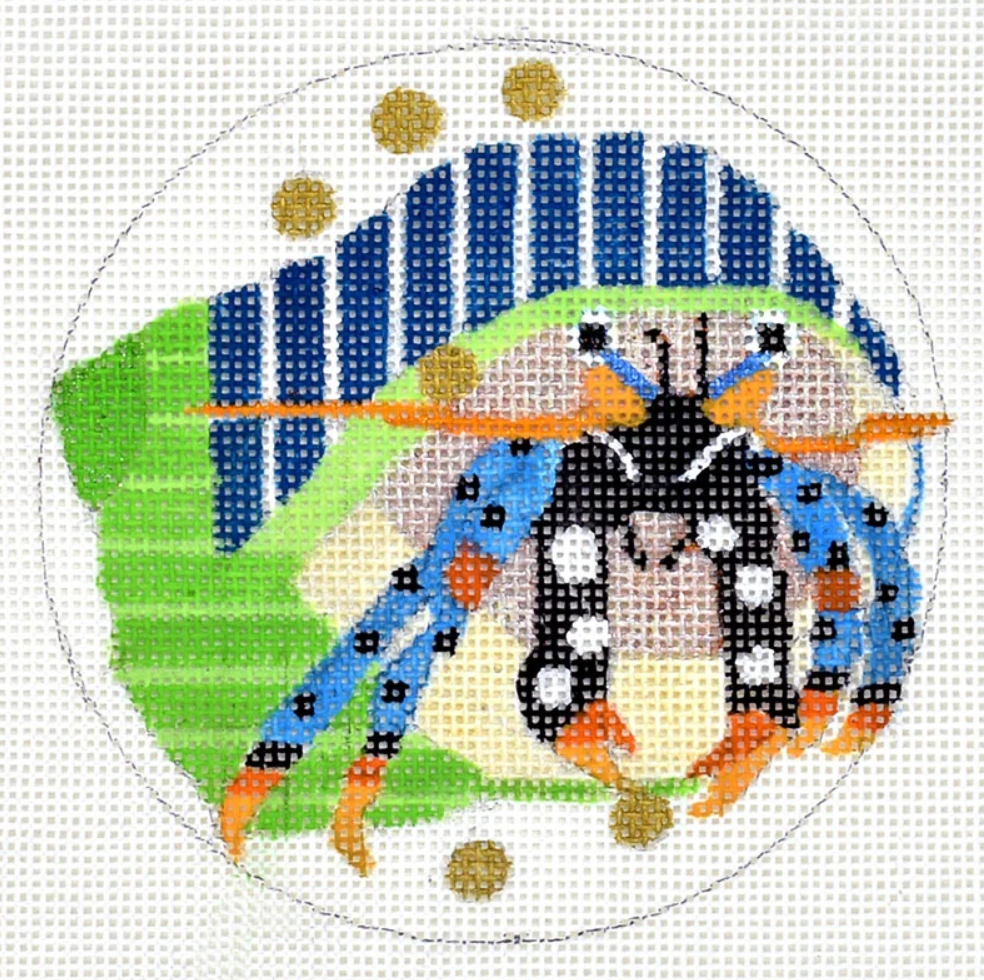 H288 Hermit Crab