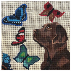 D06 Butterfly Lab