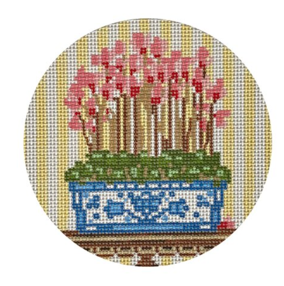 TSG45-B Cyclamen