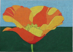 ZE992 California Poppy - 13 Mesh
