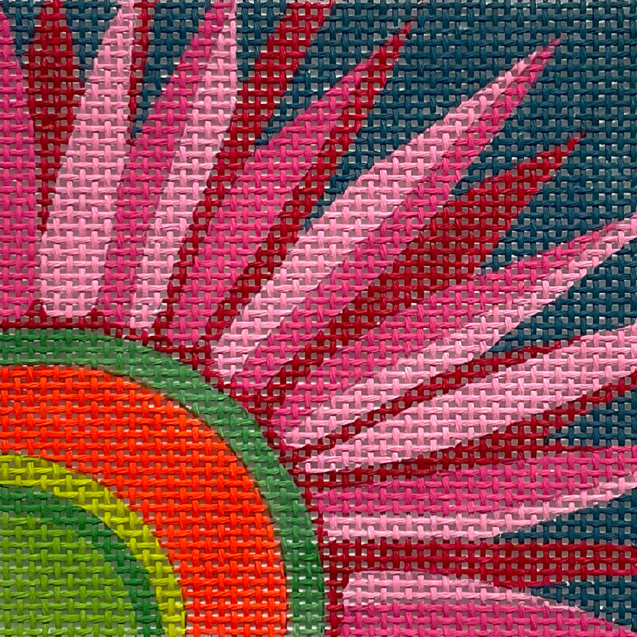 4801 Pink Gerber Daisy