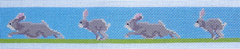 AOK132 Hopping Rabbits Dog Collar