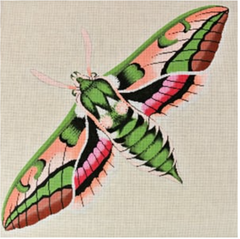 C-511D Green, Pink, and Peach Moth