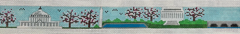 147 Washington D.C. Scene Belt