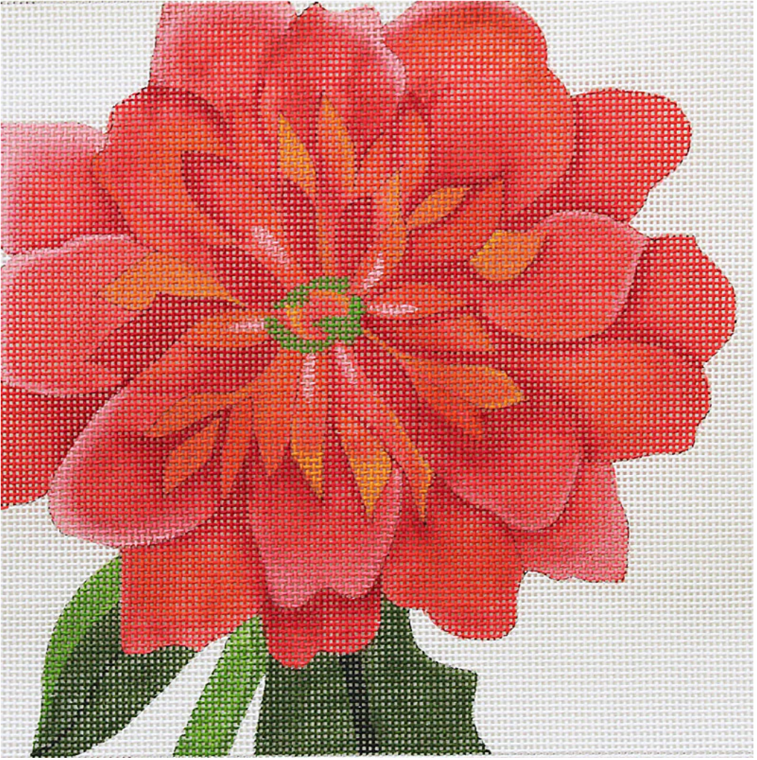 132908 Single Dahlia