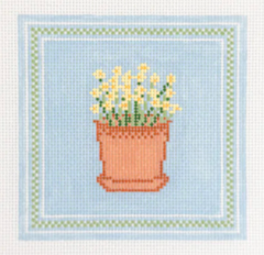 GP133 Potted Daffodils