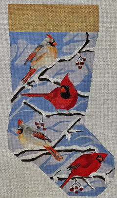 H322 Cardinal Stocking