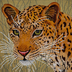 JP-A106 Leopard in Grasses