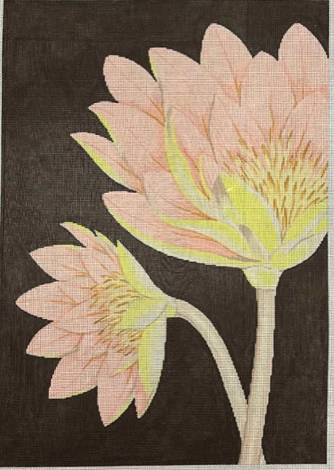 ASIT600 Lotus