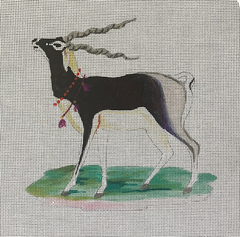 AN480 Black Antelope