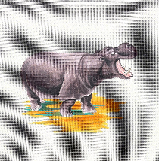 AN492 Hippo