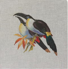 AN506 Toucans
